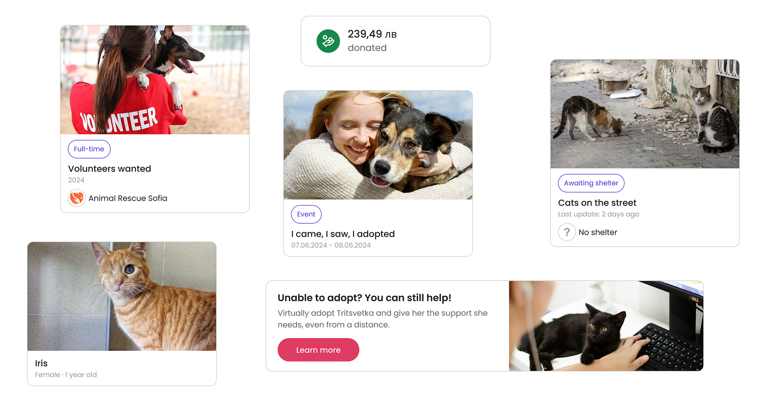 PetMe Visual Elements