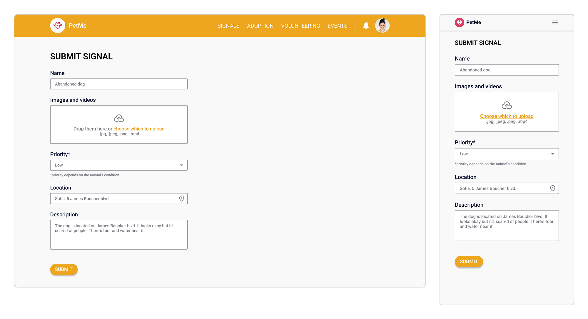 Mobile and Desktop Screen